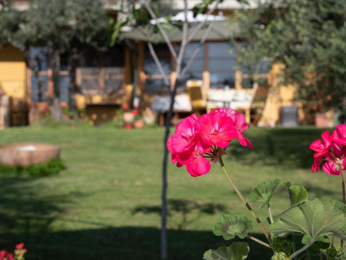 B&B Casa Decimo Greve in Chianti Bagian luar foto